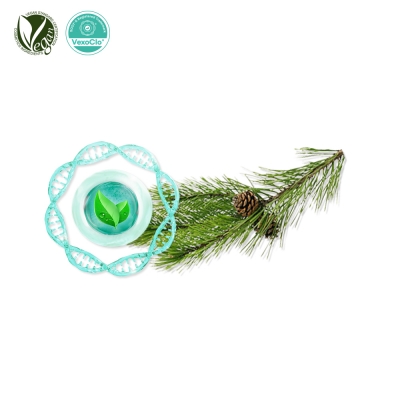 VexoClo® Pinergy (Pinus Densiflora Leaf Extract)