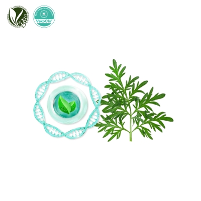 VexoClo® Arterin Complex™ (개똥쑥잎/쑥잎소포/사철쑥/참쑥)