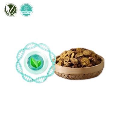 VexoClo® Rooticle Complex™ (고삼/황련뿌리줄기/황금/작약/천궁/인삼/골담초/하수오뿌리)