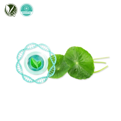 VexoClo® Centella (Centella Asiatica Leaf Vesicles)