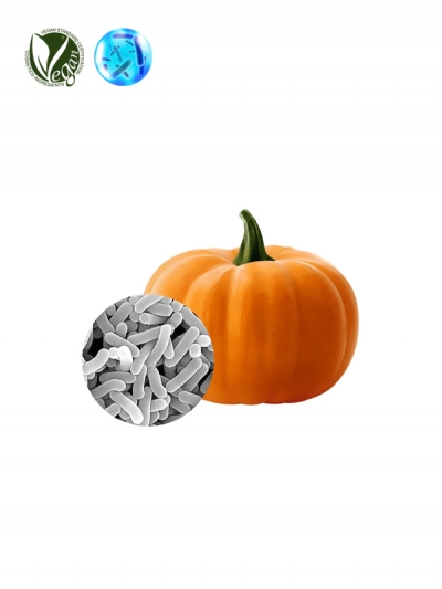 VEGANIOME® LactoPump (Lactobacillus/Pumpkin Ferment Extract)