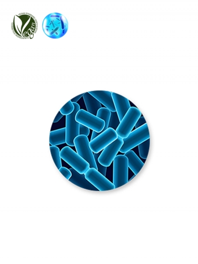 VEGANIOME® BifidaZen (Bifida Ferment Filtrate)