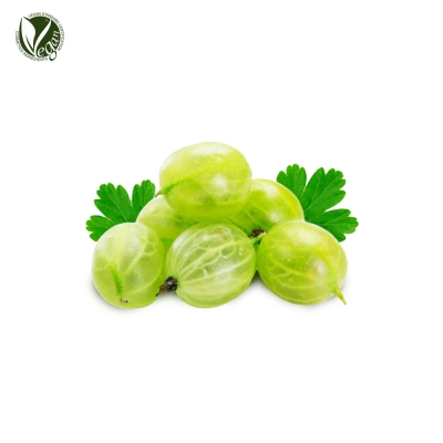 인디안구스베리열매추출물 (Phyllanthus Emblica Fruit Extract)