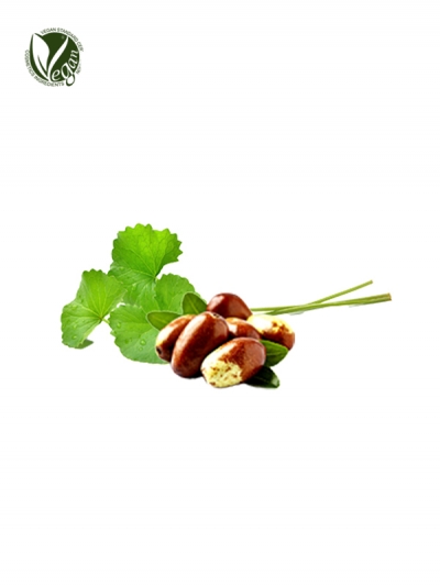 Centella Asiatica Infused Oil-JO (Centella Asiatica Extract, Simmondsia Chinesis (jojoba) seed Oil)