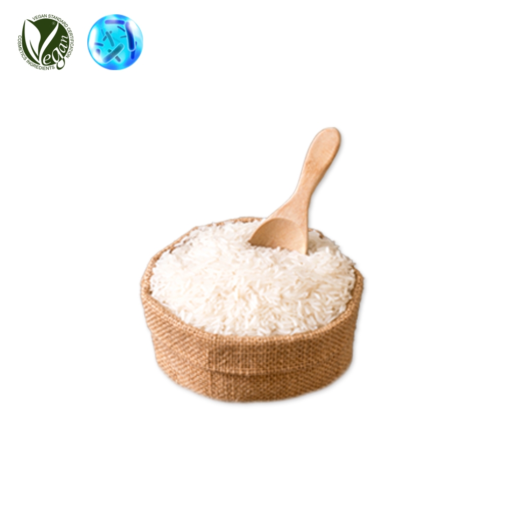 쌀발효여과물 (Rice Ferment Filtrate (Sake))