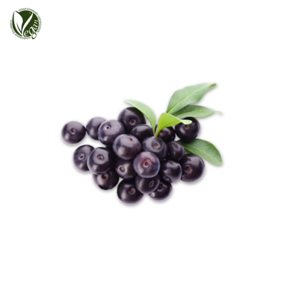 자보티카바열매추출물 (Plinia Cauliflora Fruit Extract)