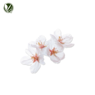 매실나무꽃추출물 (Prunus Mume Flower Extract)