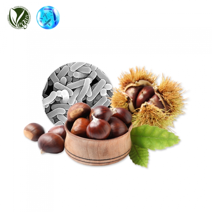 VEGANIOME&reg; LactoCasto (Castanea Crenata (Chestnut) Shell Extract/Lactobacillus Ferment)