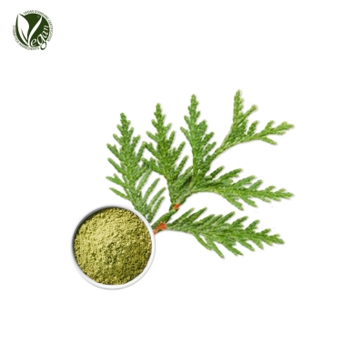 편백파우더 (Chamaecyparis Obtusa Powder)
