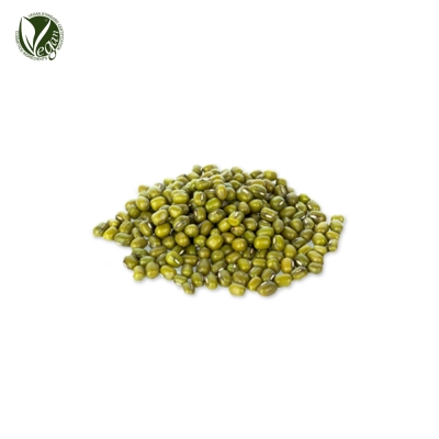 녹두추출물 (Vigna Radiata Seed Extract)