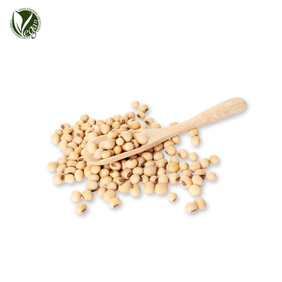 콩추출물 (Glycine Max (Soybean) Seed Extract)