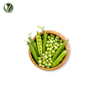 완두콩추출물 (Pisum Sativum (Pea) Seed Extract)