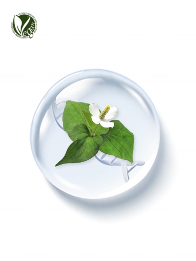 PhyDRN&trade; HeartLeaf (Sodium DNA)