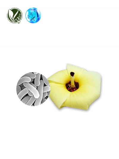 VEGANIOME&reg; LactoAbel (Lactobacillus/Abelmoschus Manihot Flower Ferment Filtrate)