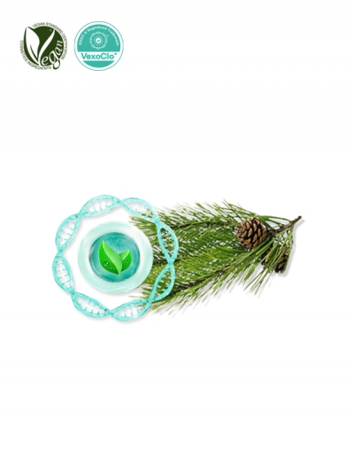 VexoClo&reg; Pinergy (Pinus Densiflora Leaf Extract)