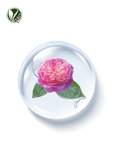 PhyDRN&trade; DamaskRose (Sodium DNA), Skin-Regeneration, Anti-Inflammatory, Skin-Elasticity, Skin-Soothing, Vegan PDRN