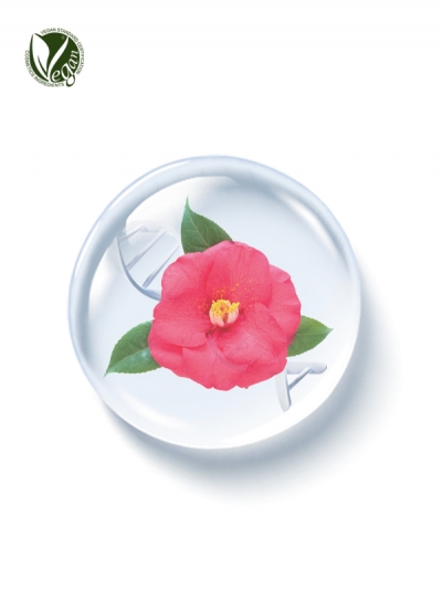 PhyDRN&trade; Tsubaki (Sodium DNA)