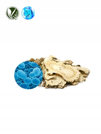 VEGANIOME&reg; KoreaAngellica (Saccharomyces/Angelica Gigas Root Ferment Extract Filtrate)