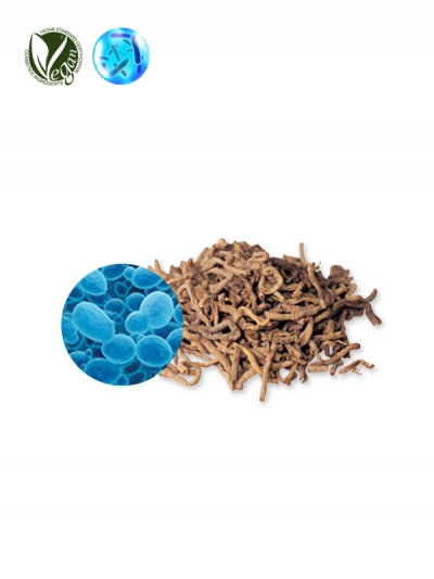 VEGANIOME&reg; MindRoot (Polygala Tenuifolia Root Extract, Saccharomyces Ferment Filtrate)