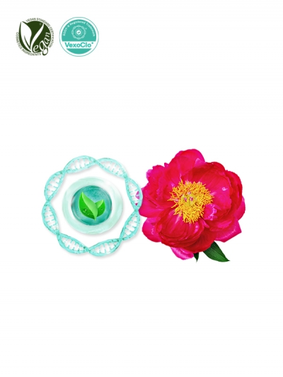 VexoClo&reg; Peony (Paeonia Lactiflora Root Vesicles)