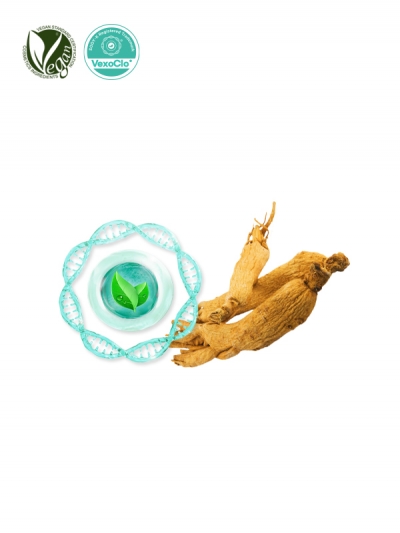 VexoClo&reg; RedGinseng (Panax Ginseng Root Extract)