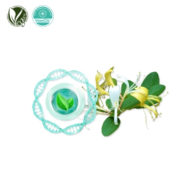 VexoClo&reg; GoldenPetal (Lonicera Japonica (Honeysuckle) Flower Extract)