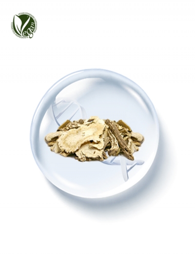 PhyDRN&trade; KoreaAngelica (Sodium DNA)