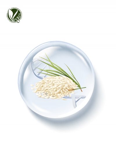 PhyDRN&trade; KoreaRice (Sodium DNA)