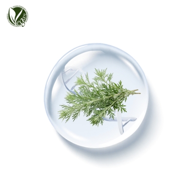 PhyDRN&trade; INJIN Artemisia/쑥 (소듐디엔에이, Sodium DNA)