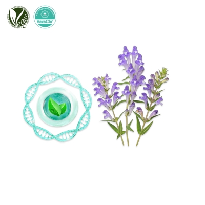 VexoClo&reg; BaiLixir (황금추출물, Scutellaria Baicalensis Root Extract)