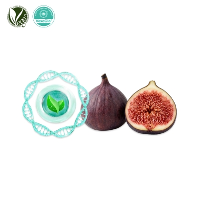 VexoClo&reg; Figrow (무화과나무소포, Ficus Carica (Fig) Vesicles)