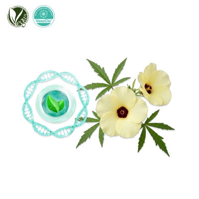 VexoClo&reg; GoldAbel (닥풀꽃추출물, Abelmoschus Manihot Flower Extract)