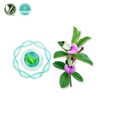 VexoClo&reg; K-Clover (매듭풀추출물, Kummerowia Striata Extract)