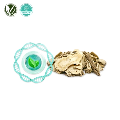VexoClo&reg; KoreaAngelica (참당귀추출물, Angelica Gigas Extract)