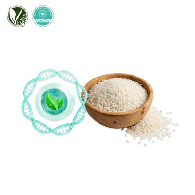 VexoClo&reg; KoreaRice (쌀추출물, Oryza Sativa (Rice) Seed Extract)