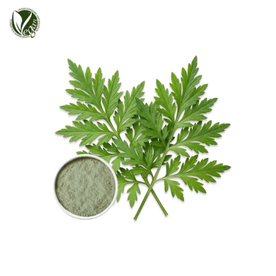 인진쑥파우더 (사철쑥가루, Artemisia Capillaris Powder)