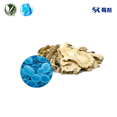VEGANIOME&reg; KoreaAngelica (효모/참당귀뿌리발효추출여과물)