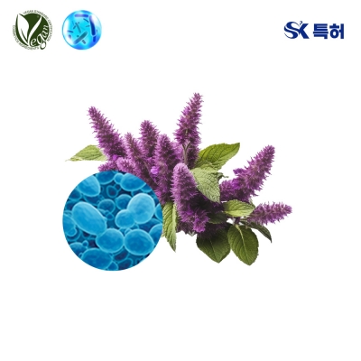 VEGANIOME&reg; KoreaMint/배초향 (배초향추출물,효모발효여과물)