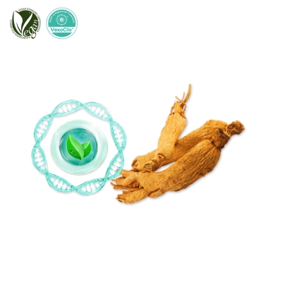 VexoClo&reg; RedGinseng (홍삼추출물, Panax Ginseng Root Extract)