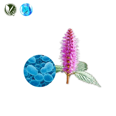 VEGANIOME&reg; ShinyMint (꽃향유추출물, 효모발효여과물)