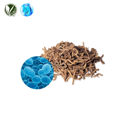 VEGANIOME&reg; MindRoot (원지뿌리추출물, 효모발효여과물)