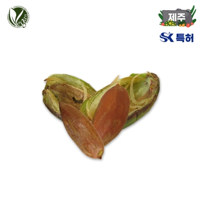 비자나무정유추출물 (비자나무추출물, Torreya Nucifera Extract)