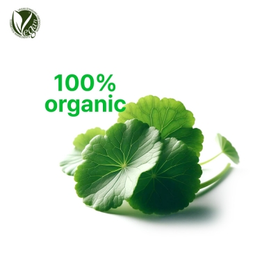 OCAE / 유기농 병풀추출물 (병풀추출물, Centella Asiatica Extract)