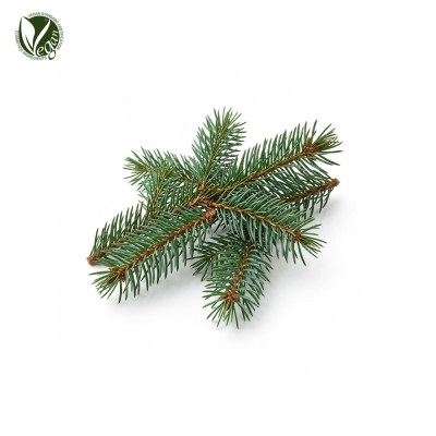 LIGNAROL&reg; (독일가문비목부추출물, Picea Abies Wood Extract)