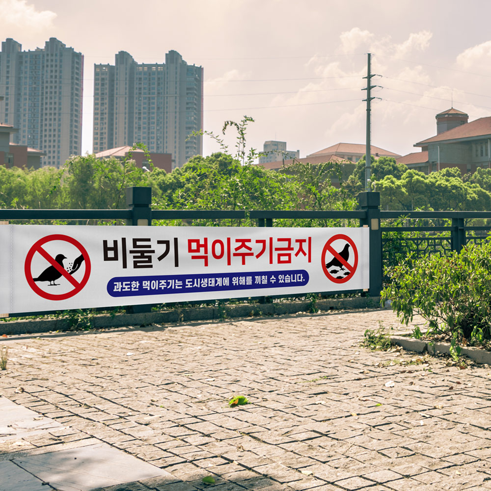 비둘기 먹이주기 금지 현수막 비둘기 먹이주기 금지 현수막