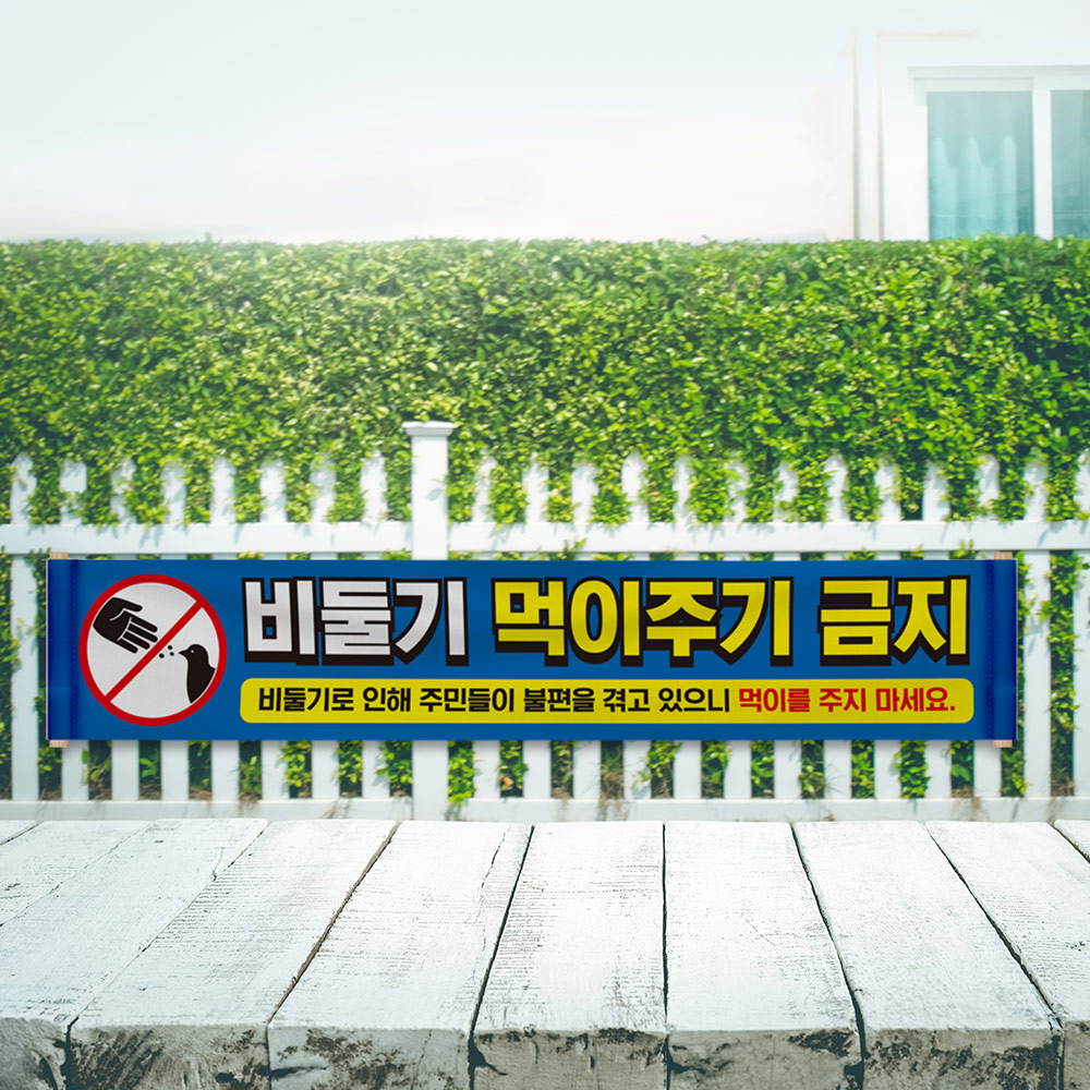 비둘기 먹이주기 금지 현수막 비둘기 먹이주기 금지 현수막