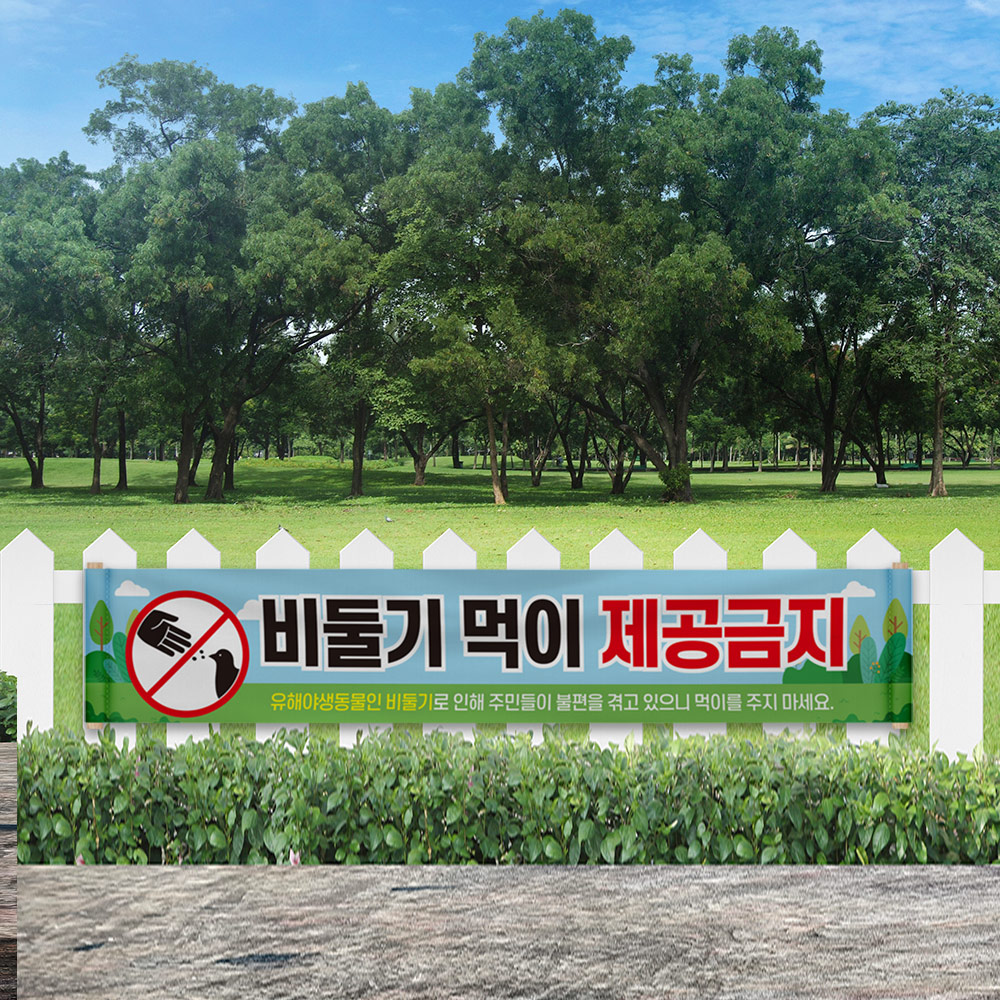 비둘기 먹이주기 금지 현수막 비둘기 먹이주기 금지 현수막