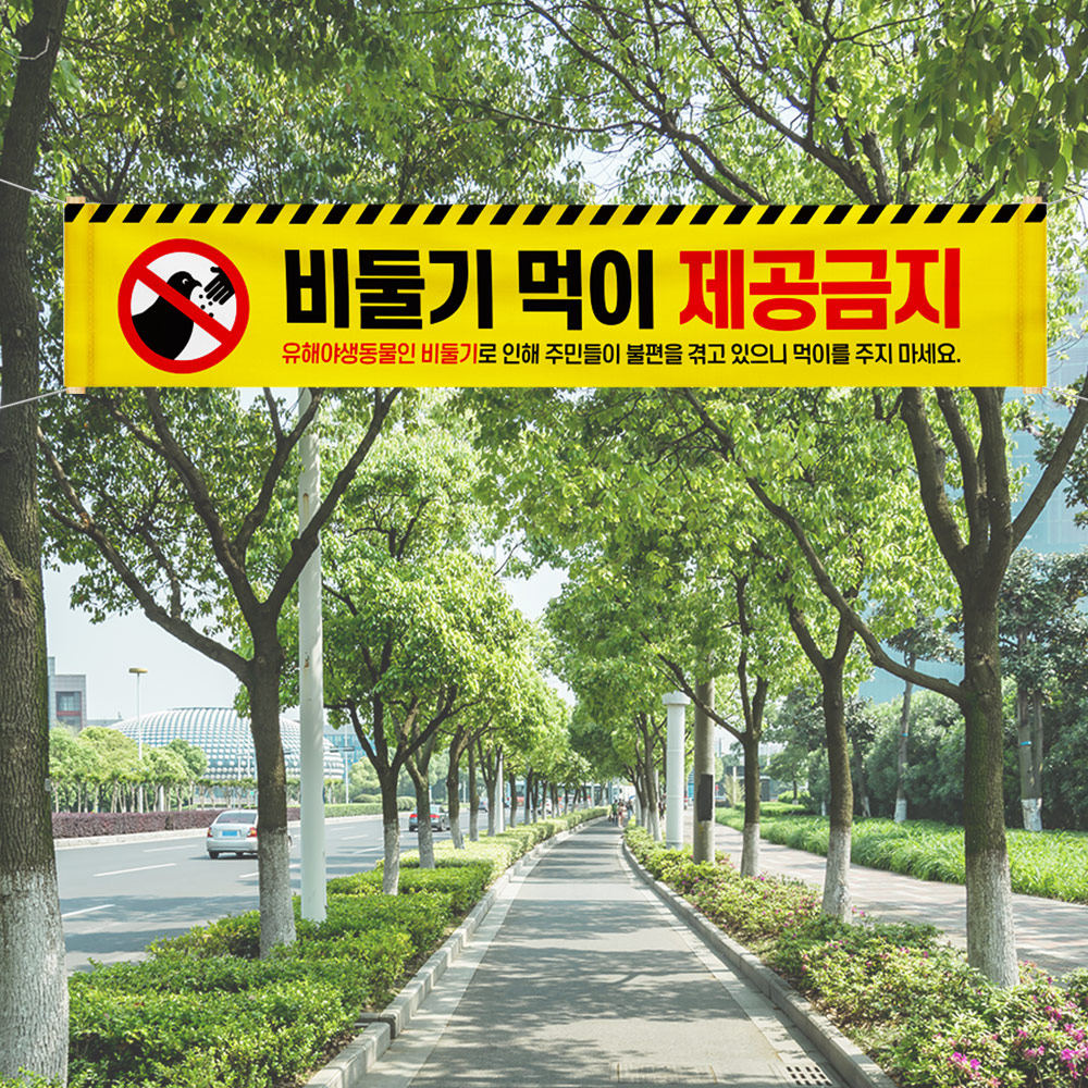 비둘기 먹이주기 금지 현수막 비둘기 먹이주기 금지 현수막