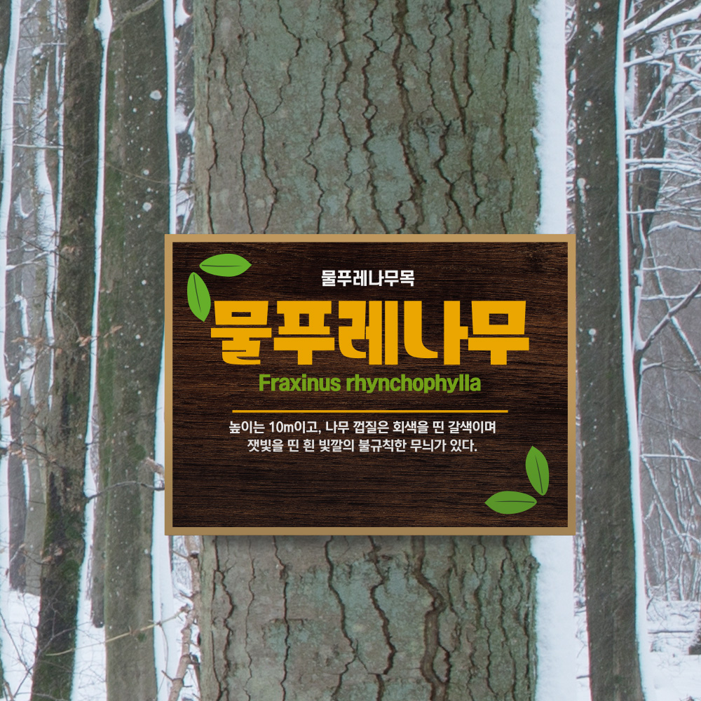 고급형 수목표찰 나무걸이형 사각 고급형 수목표찰 나무걸이형 사각