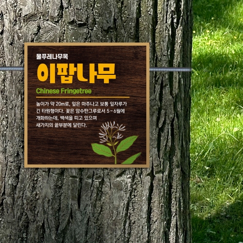 고급형 수목표찰 부착 사각